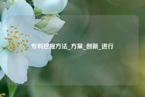 專(zhuān)利挖掘方法_方案_創(chuàng)新_進(jìn)行